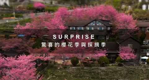宜蘭民宿